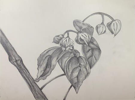 week 14 pt 1